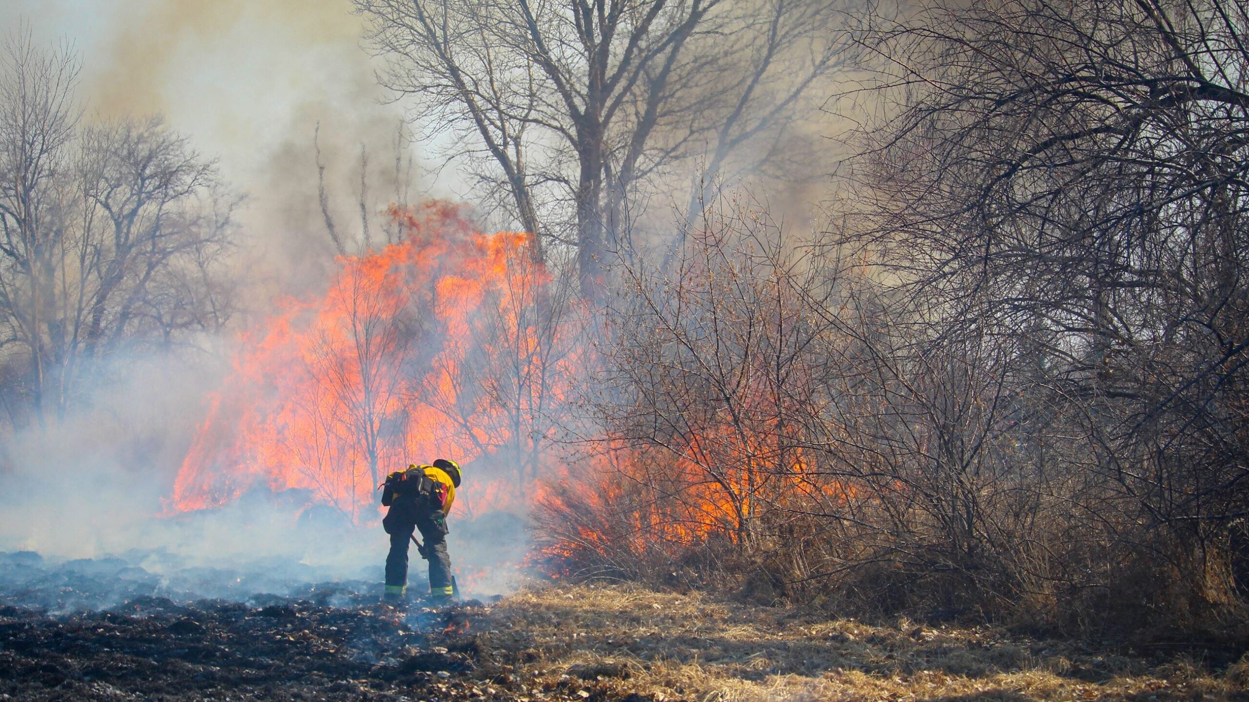 Mesa County Implements Stage 2 Fire Restrictions